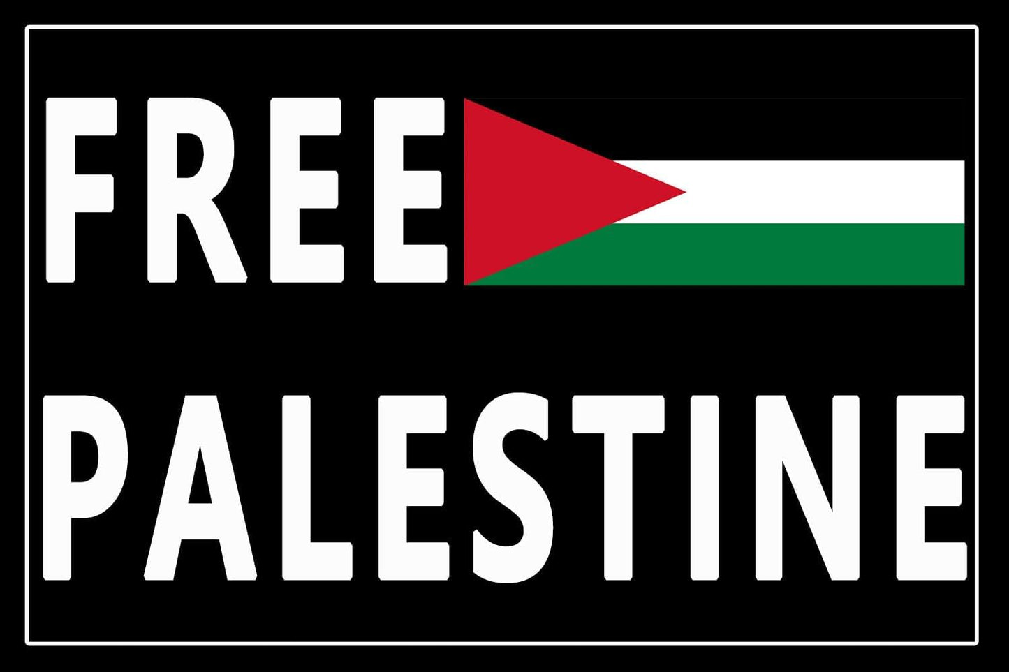 Qinry 10 Pack Free Palestine Gaza Flag Arabic Freedom for Palestinians Stand with Israel Flag Support Israel Stickers Laptop Bumper Decal Window Waterproof Car Stickers