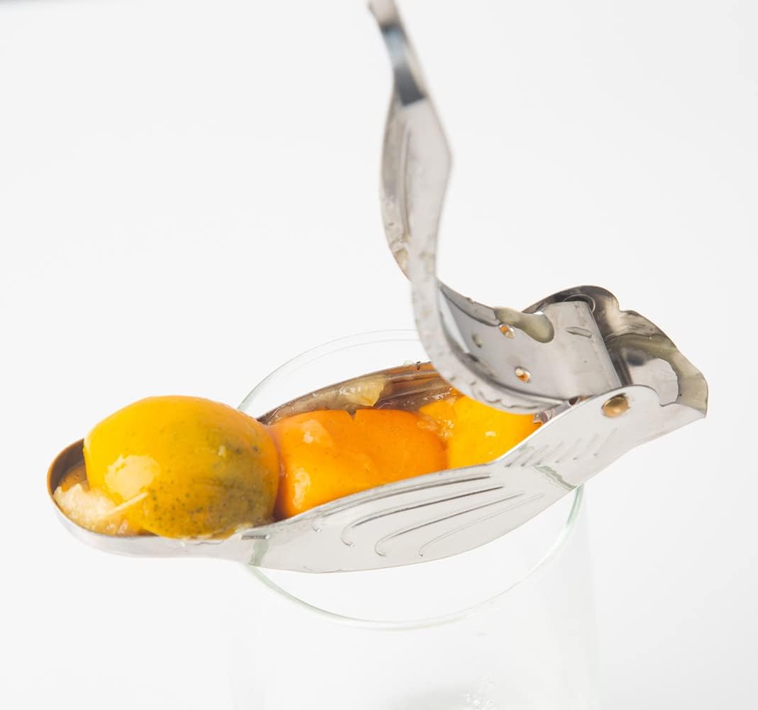 Maozcq Stainless Steel Bird Shape Lemon Juicer Orange Lime Lemon Squeezer Manual Hand Fruit Press Tool with Pour Spout