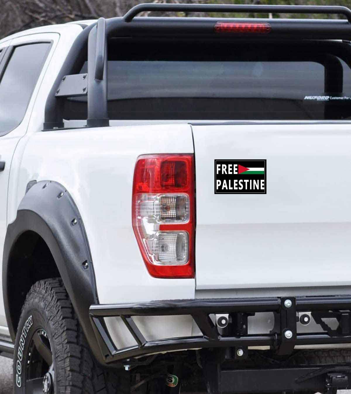 Qinry 10 Pack Free Palestine Gaza Flag Arabic Freedom for Palestinians Stand with Israel Flag Support Israel Stickers Laptop Bumper Decal Window Waterproof Car Stickers
