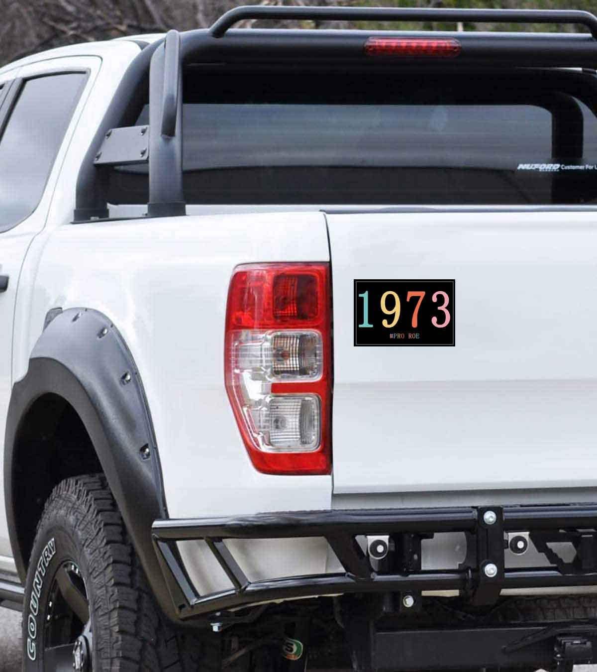 10 Pack 1973 Pro Roe Stickers Pro Choice Women's Rights Stickers Laptop Bumper Decal Window Waterproof Car Stickers